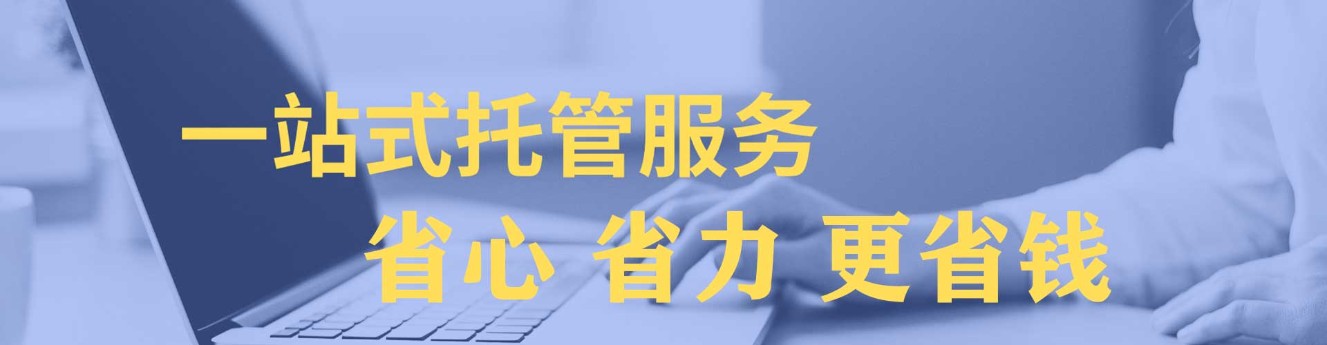 郧阳竞价托管